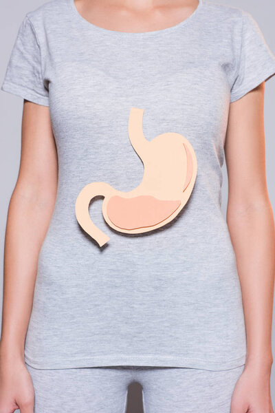 partial view of woman with paper made human stomach on grey background