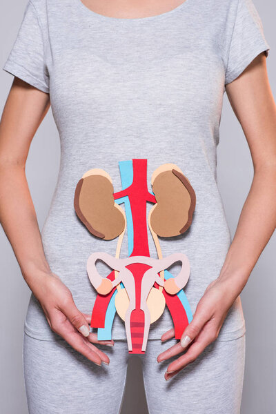 обрезанный снимок женщины с бумагой, сделанный внутренними органами человека и женской репродуктивной системой на сером фоне
