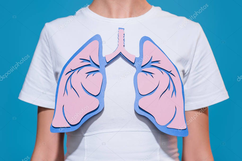 partial view of woman in white tshirt with paper crafted lungs on blue backdrop