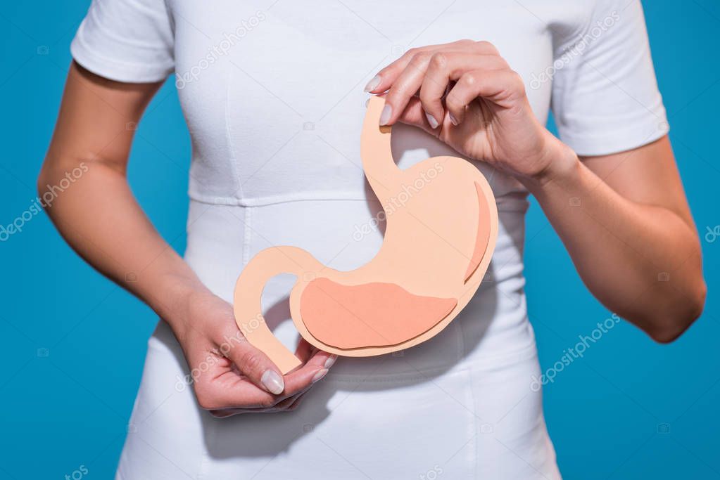 cropped shot of woman holding paper crafted stomach in hands on blue background