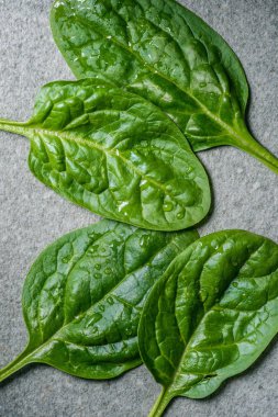 Top view of green and fresh picked spinach leaves on grey background clipart