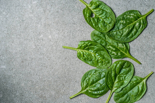 Top view of green fresh spinach leaves 