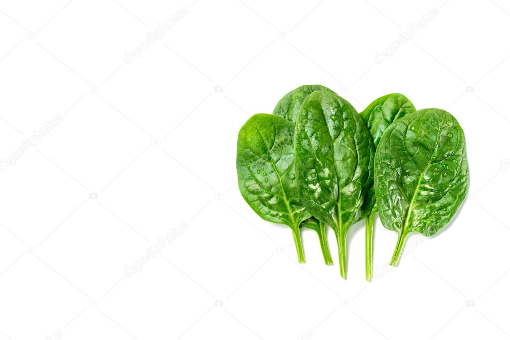 Top view of wet fresh  spinach leaves isolated on white