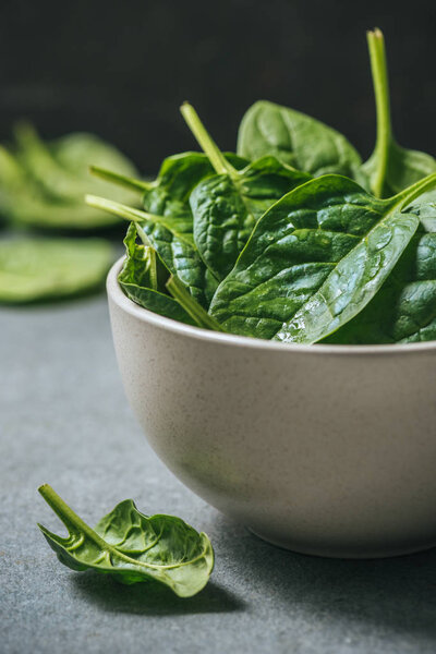 Fresh and wet spinach leaves in white bowl