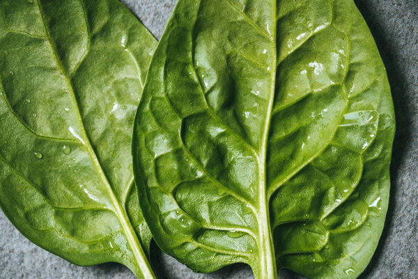 Close up of fresh and green spinach leaves