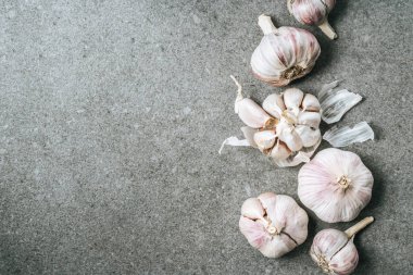 Kopya alanı ile gri arka plan üzerine sarımsak ampuller ve kabuğu üstten görünüm