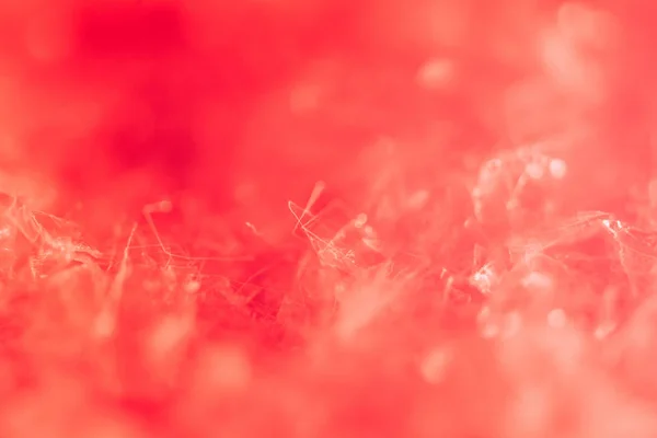 Abstrait Rouge Fond Flou Avec Espace Copie — Photo gratuite