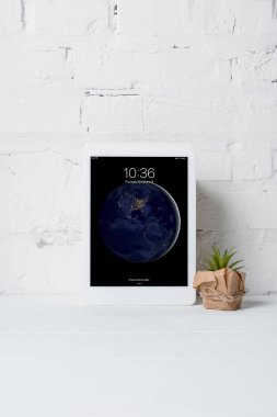 Dijital tablet ve beyaz duvara yakın yeşil saksılı bitki