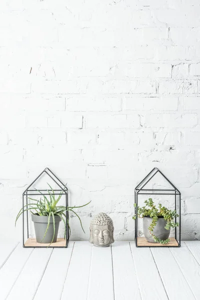 Πράσινα Φυτά Γλάστρες Και Κεραμικά Βούδα Σχήμα Στο Ξύλινο Τραπέζι — Φωτογραφία Αρχείου