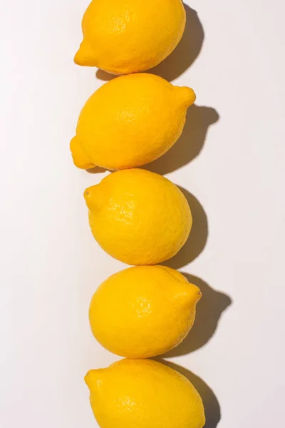 Vista elevada de limones colocados en filas sobre una superficie blanca - foto de stock