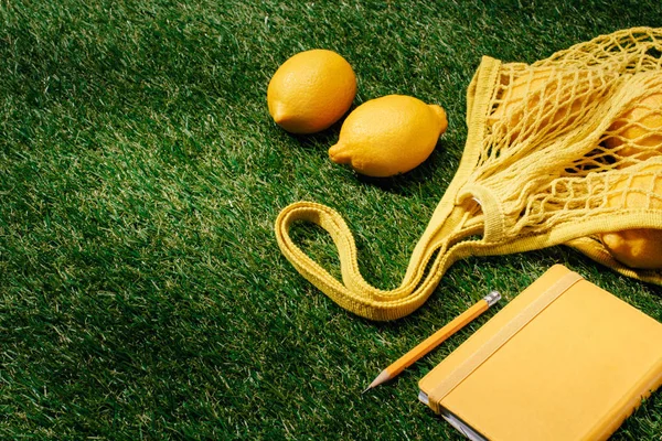 Vista de cerca de limones, red y libro de texto con lápiz sobre césped verde - foto de stock