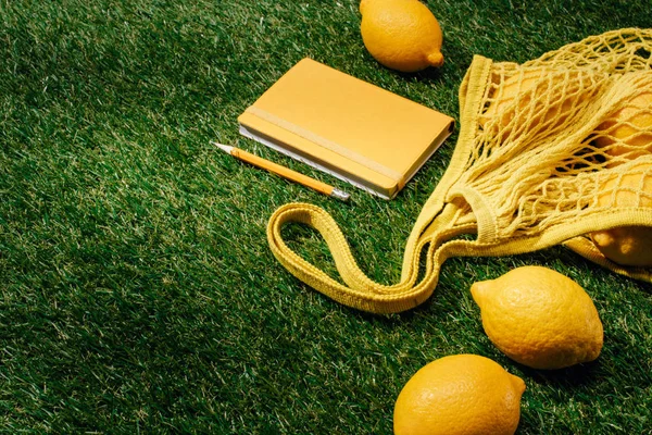 Nahaufnahme von Zitronen, Netz und Lehrbuch mit Bleistift auf grünem Rasen — Stockfoto