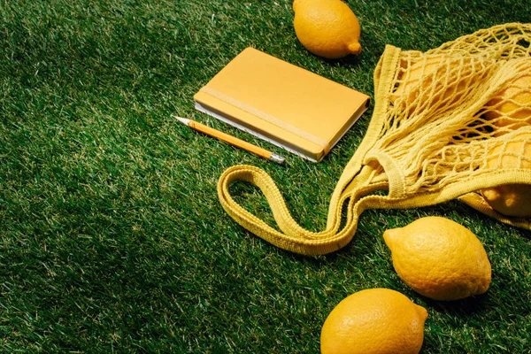 Vista de cerca de limones, red y libro de texto con lápiz sobre césped verde - foto de stock