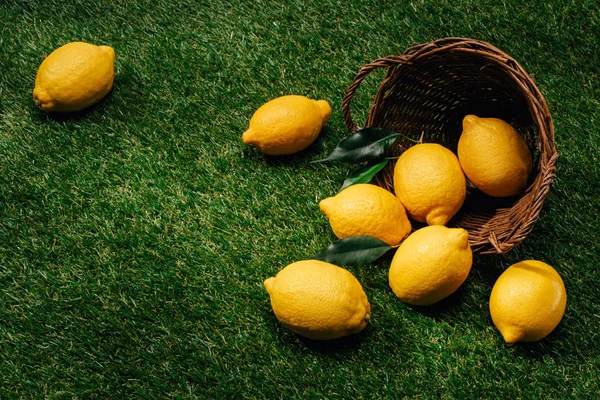 Imagen de cerca de limones con hojas y canasta de mimbre en césped verde - foto de stock