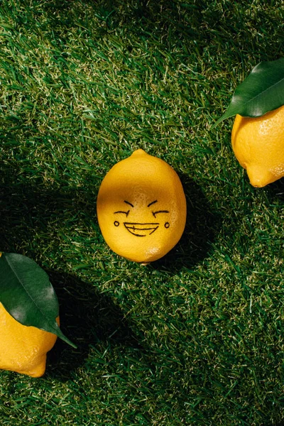 Вид сверху на лимоны и лимон с рисунком счастливого лица на зеленой лужайке — стоковое фото