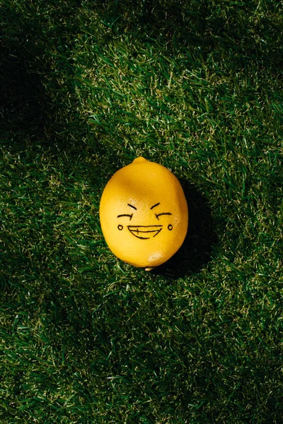 Повышенный вид на лимон с рисунком улыбающегося лица на зеленой лужайке — стоковое фото