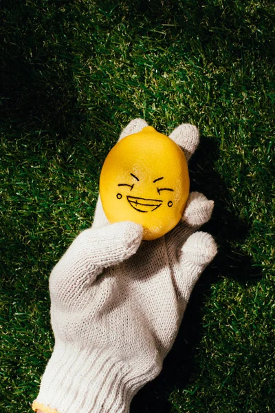 Plan recadré de la personne tenant le citron avec le visage dessin sur la pelouse verte — Photo de stock
