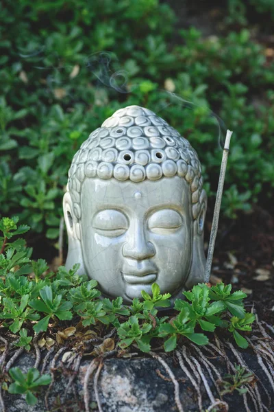 Gros plan de la tête de Bouddha avec le bâton de fumée aromatique et les plantes autour — Photo de stock