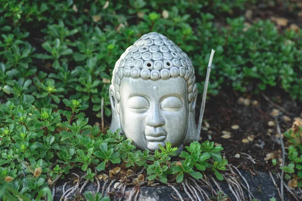 Buddha testa con bastone aromatico da fumo e piante verdi intorno — Foto stock