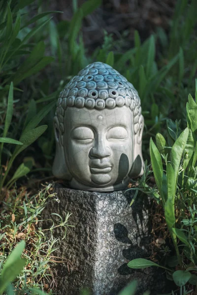 Buddha testa su pietra con piante verdi intorno — Foto stock