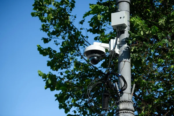 Vista de cerca de la cámara de seguridad en el poste de la calle con follaje de árbol a la luz del sol - foto de stock