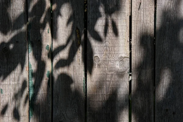 Full frame image of wooden fence with shadow of leaves background — Stock Photo