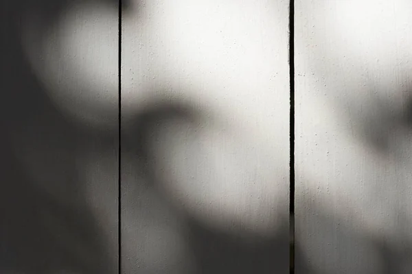 Immagine full frame di assi di legno con sfondo luce solare — Foto stock