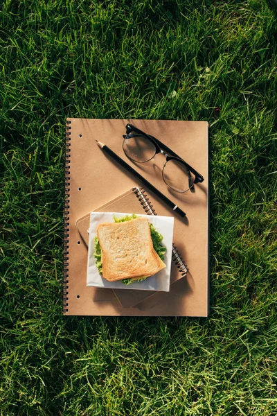 Vista superior de cuadernos arreglados, anteojos y sándwich sobre hierba verde - foto de stock