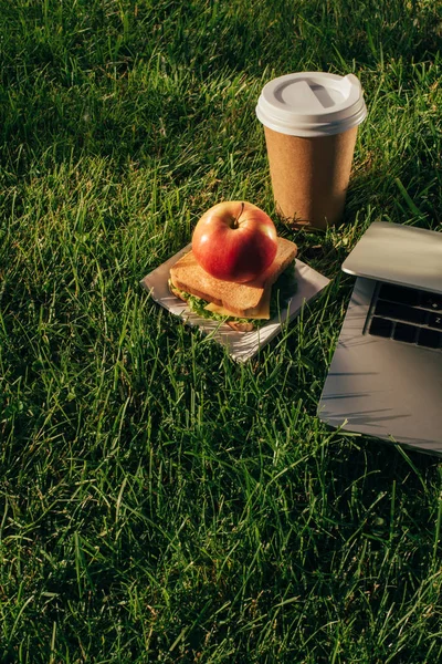 Vista de cerca de la computadora portátil, café para llevar y sándwich con manzana en el césped verde - foto de stock