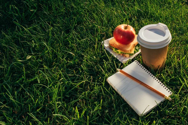 Close up view of coffee to go, sandwich, apple and notebook on green grass — Stock Photo