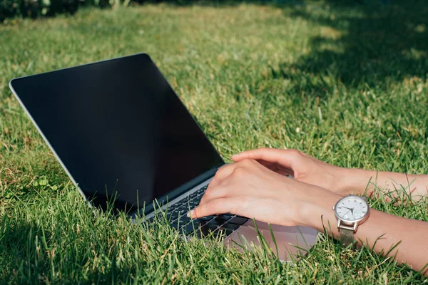 Partial view of freelancer typing on laptop on green grass in park — Stock Photo