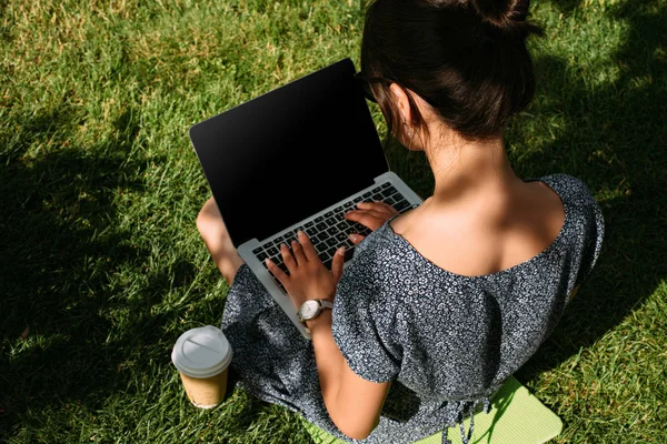 Back view of freelancer working on laptop on green lawn in park — Stock Photo