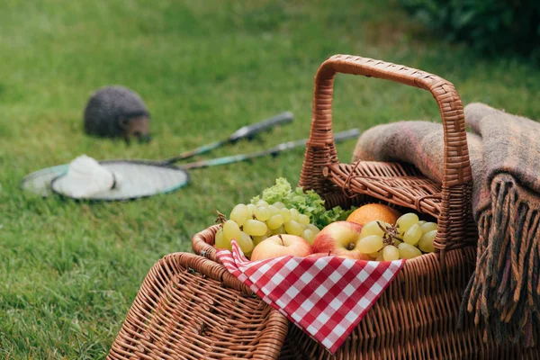 Delicious grapes and apples in basket on green grass at picnic — Stock Photo