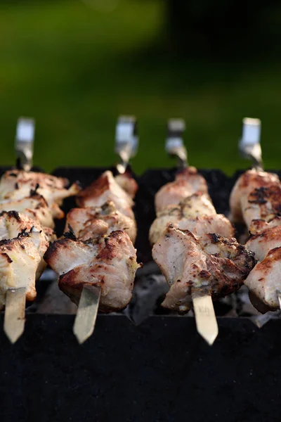 Close up of pork kebab (shashlik) on skewers at barbecue — Stock Photo