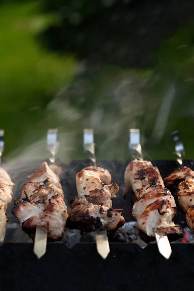 Pork kebab on skewers with steam at barbecue — Stock Photo