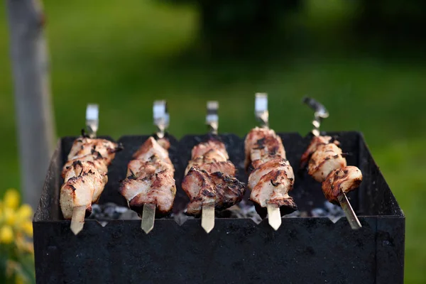 Pork kebab (shashlik) on skewers at barbecue in park — Stock Photo