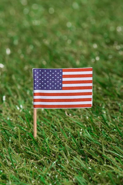 Vista de cerca del asta de la bandera americana sobre hierba verde - foto de stock