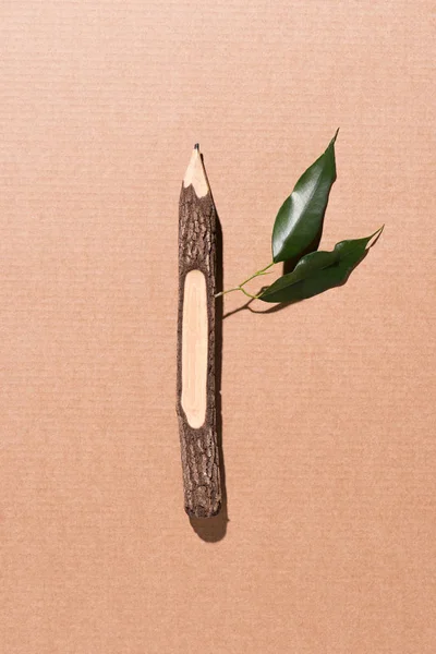 Вид зверху на дерев'яний олівець з зеленим листям на бежевому — стокове фото