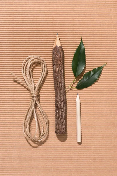 Top view of string, wooden pencil, graphite pencil and green leaves on cardboard — Stock Photo