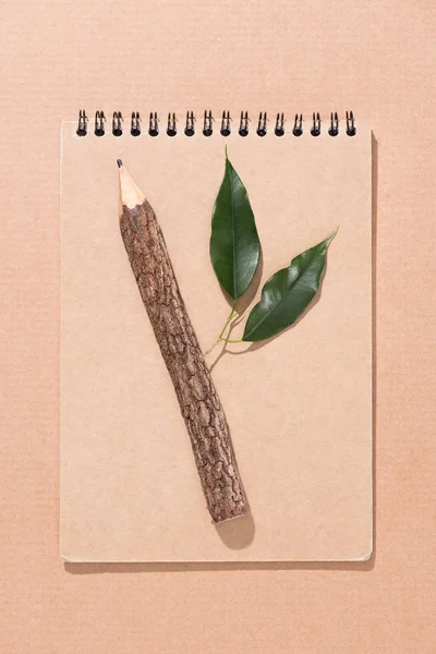 Vista dall'alto di matita in legno con foglie verdi su taccuino bianco su beige — Foto stock
