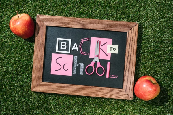 Vista dall'alto di mele fresche e lavagna con scritte back to school fatte di oggetti rosa e bianchi su prato verde — Foto stock