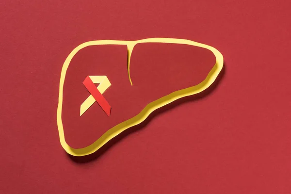 Visão superior do fígado com fita no fundo vermelho, conceito mundial do dia da hepatite — Fotografia de Stock