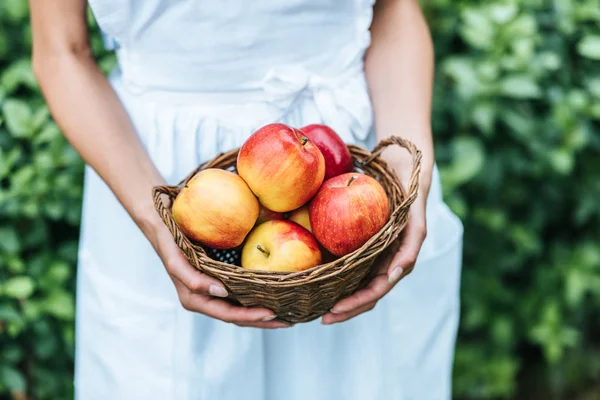 Partial view of young woman holding wicker basket with apples — Stock Photo