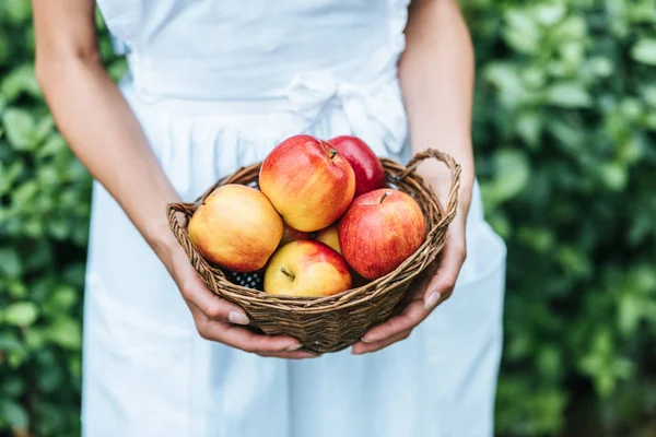 Vista parcial de la joven mujer sosteniendo canasta de mimbre con manzanas - foto de stock