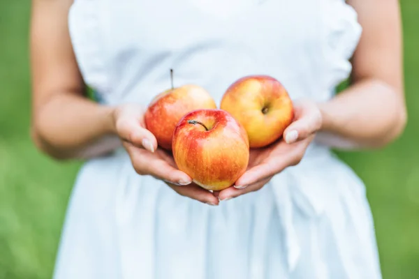 Vista recortada de la niña sosteniendo manzanas frescas recogidas en las manos - foto de stock