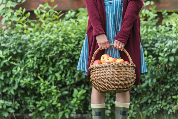 Midsection view of young woman holding wicker basket with apples — Stock Photo