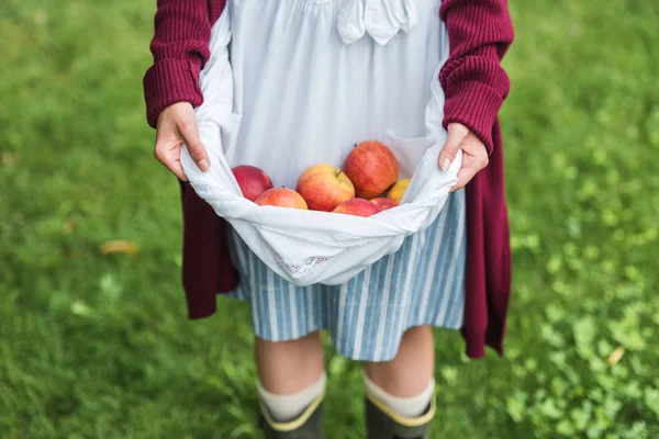 Cropped view of girl holding apples in apron — Stock Photo