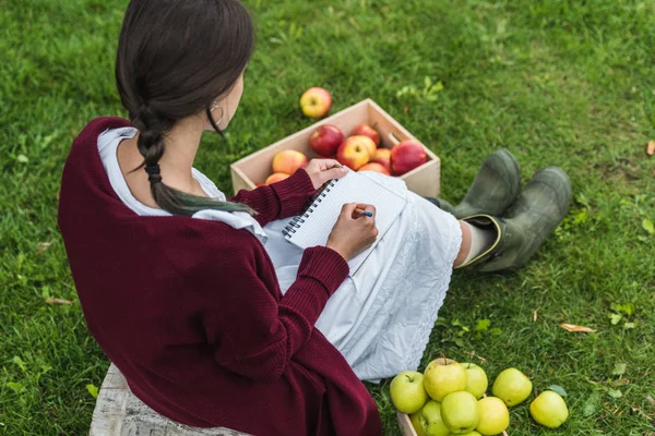 Chica escribiendo en bloc de notas en el jardín con manzanas frescas recogidas en cajas de madera - foto de stock