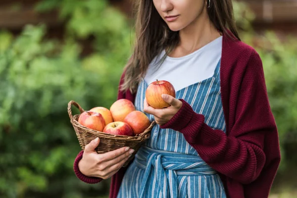 Partial view of girl holding wicker basket with fresh apples — Stock Photo
