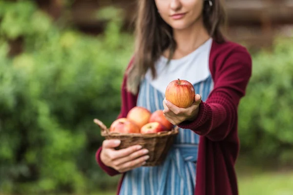 Vista ritagliata della ragazza che tiene cesto di vimini con mele — Foto stock